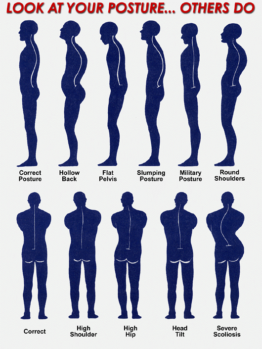 What is the correct human posture in while the body is completely